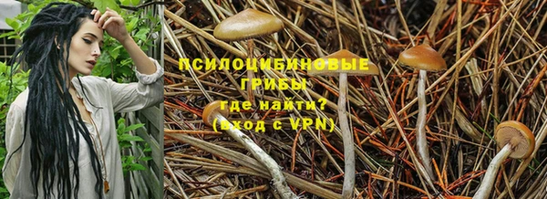 спайс Алексин